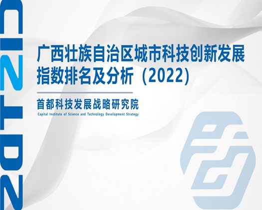 操逼子宫小说视频【成果发布】广西壮族自治区城市科技创新发展指数排名及分析（2022）